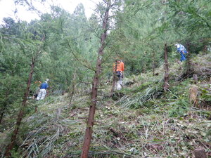 DSCN4045.JPG