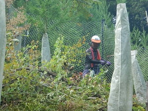 DSCN3212.JPG