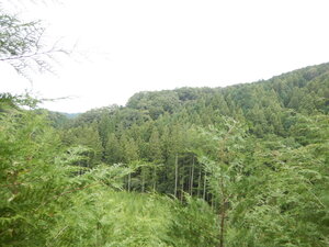 DSCN3435.JPG
