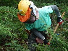 DSCN3312.JPG