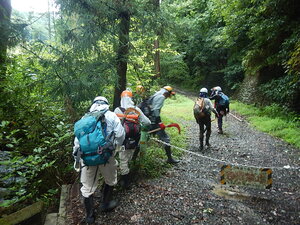 DSCN3163.JPG