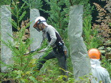 DSCN2904.JPG