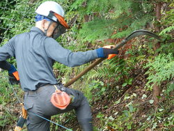 DSCN3298.JPG