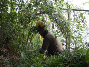 DSCN2581.JPG