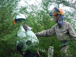 DSCN3332.JPG