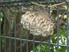 DSCN3275.JPG