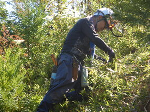 DSCN3794.JPG