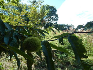 DSCN3484.JPG