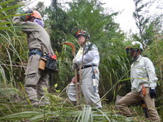 DSCN4358.JPG