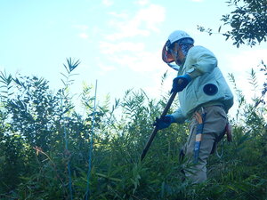 DSCN3512.JPG