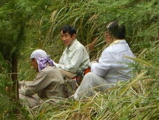 DSCN4395.JPG