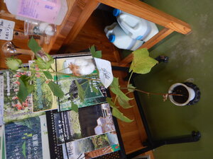 DSCN3724.JPG