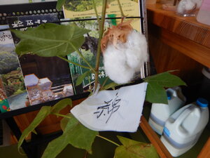 DSCN3726.JPG
