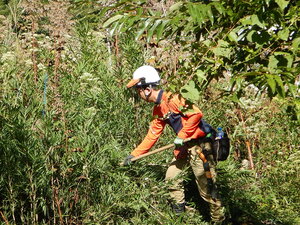 DSCN3764.JPG