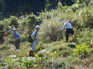 DSCN3770.JPG