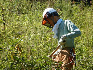 DSCN3771.JPG