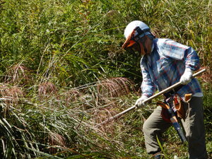 DSCN3774.JPG