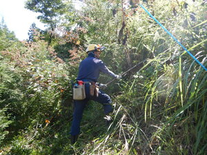 DSCN3782.JPG