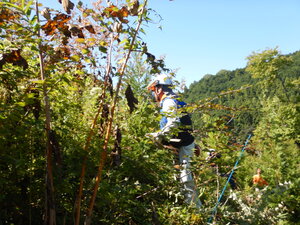 DSCN3788.JPG