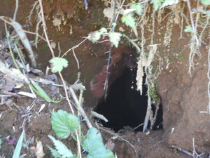 DSCN3790.JPG