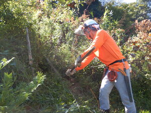 DSCN3792.JPG
