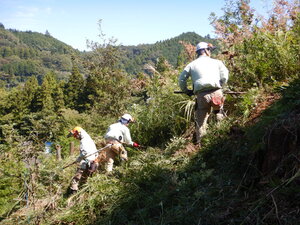 DSCN3808.JPG