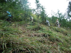 DSCN3990.JPG