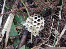 DSCN4349.JPG