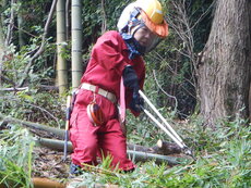 DSCN4379.JPG