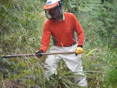 DSCN4387.JPG