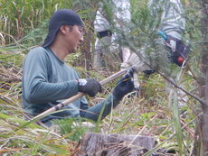 DSCN4398.JPG