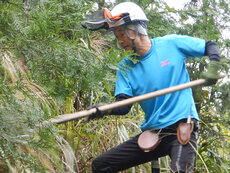 DSCN4432.JPG