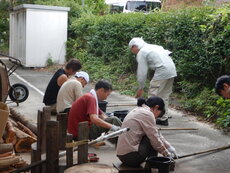 DSCN4462.JPG