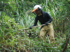 DSCN3965.JPG