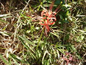 DSCN3806.JPG