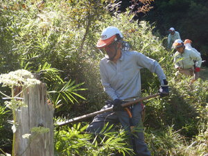 DSCN3799.JPG