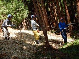 DSCN3330.JPG
