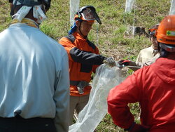 DSCN3496.JPG
