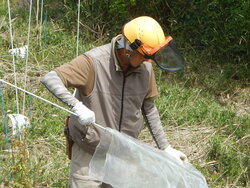 DSCN3524.JPG