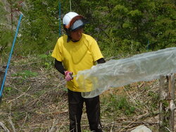 DSCN3525.JPG