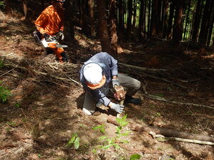 DSCN3671.JPG