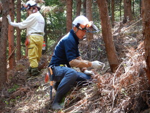 DSCN3696.JPG