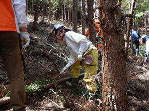 DSCN3706.JPG