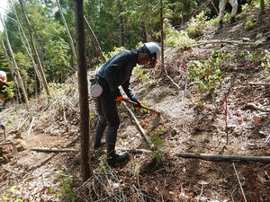 DSCN3715.JPG