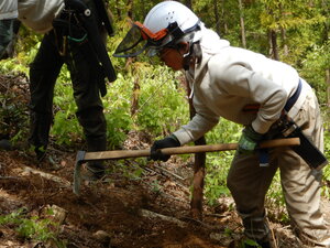 DSCN3724.JPG