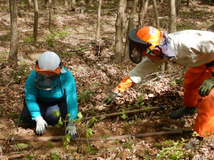 DSCN3739.JPG