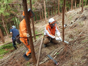 DSCN3746.JPG
