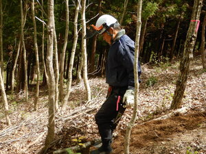 DSCN3750.JPG