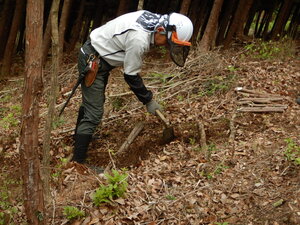 DSCN3755.JPG