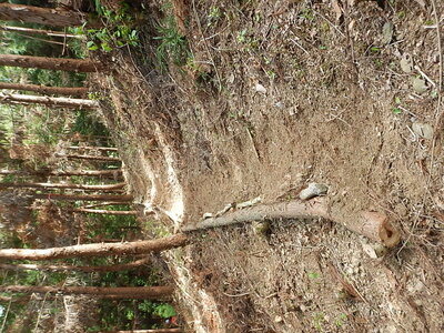 DSCN3775.JPG